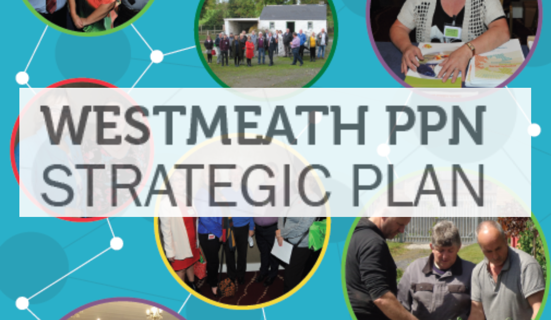 Drafting of a new WPPN Strategic Plan