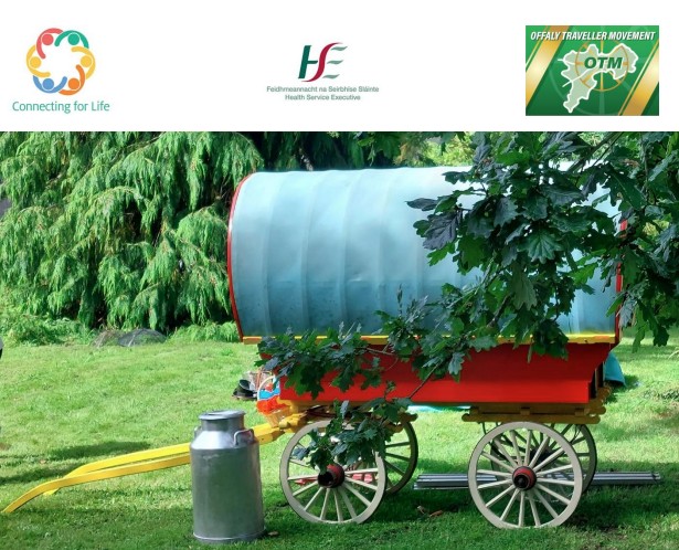 Review of mental health recovery programme for Travellers